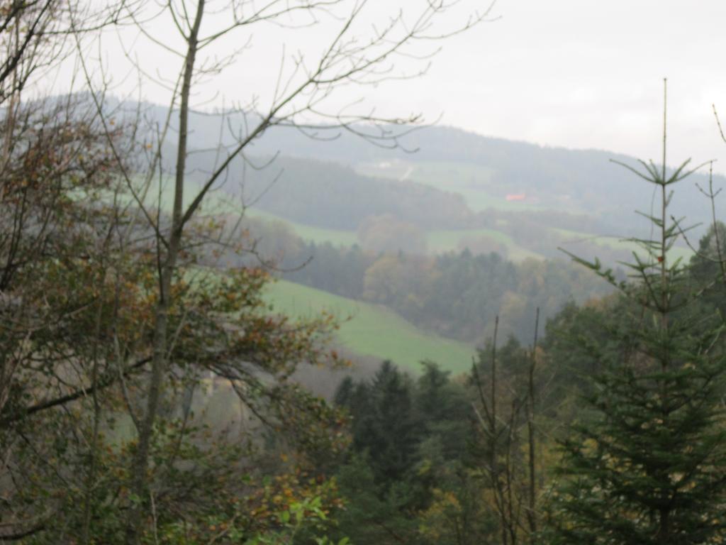 Waldpension Stachl Bromberg Exterior photo